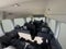 2026 Ford Transit Passenger Wagon XL